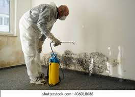 Professional Mold Remediation in Canby, MN